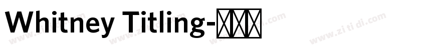 Whitney Titling字体转换